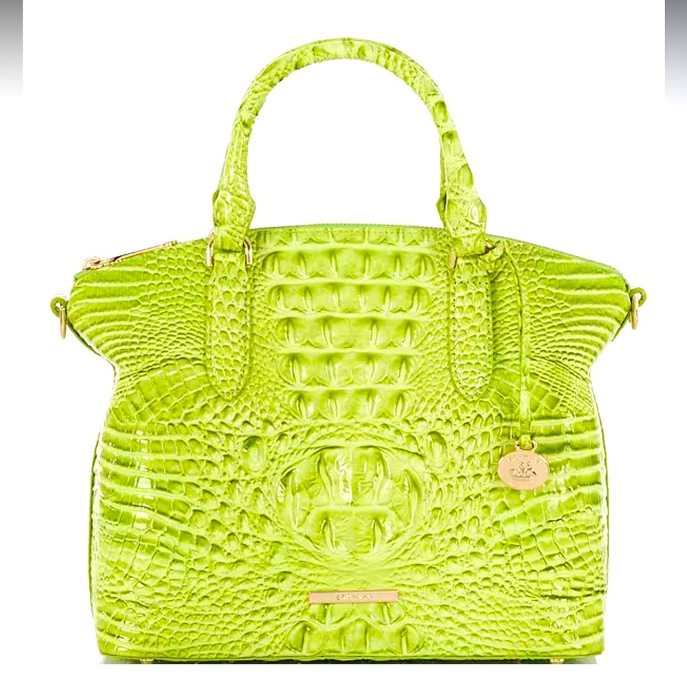 Brahmin Duxbury Satchel Kiwi Melbourne